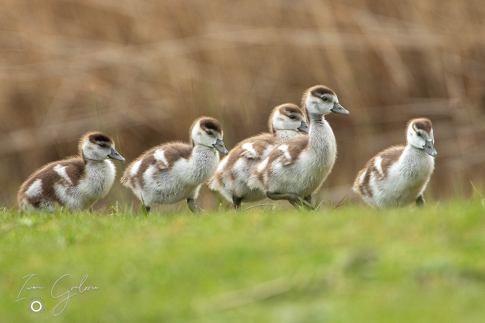 05 april 2022 154801 1DX47914